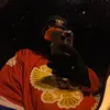 anaheim.itmynickn