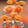 user24912613473346
