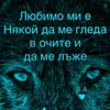 dencheva11