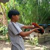 vitovitokeboyy