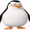piw_piwd