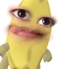 rinnhocon