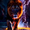 mohamed_ahmed_013