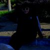 hamza.m.qandil