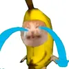 dntna213_