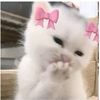 nuna_keonho_14
