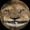 gallaato