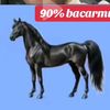 bo.nay.win01
