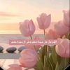 hajitahir5047