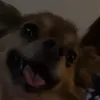 oneperson_15
