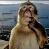 cutedangyeunhatvietnam