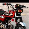 chmuhammadrafiq72