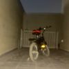 .sxb._1538