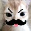 xynaa_403