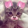 unknown..56471