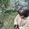 fllrc.onrad