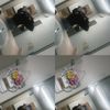.adoreee.jass