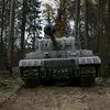weier.tiger6