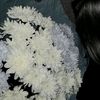 liliy_a654