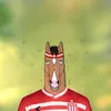 tolosapincha