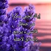 user077308uiop