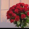 duchesse_078