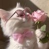 user8335200702774