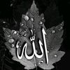 nusratbb09