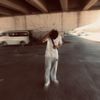 ﮼حمودي 🐺