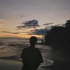 dolphintrde