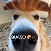 nosejsjsj21