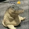 _greg_________