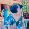 maty04512