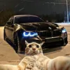 alannn_546