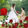 hnin.si.lay878