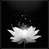 user819370160997