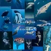 biologiamarinha_2304