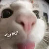 hackercuimia23