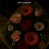 𝙂𝙬𝙞𝙘