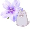 pushinpravit_miro