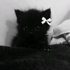 lookatme7143