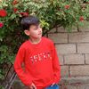 nihad0495