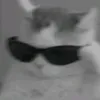 chouplays35