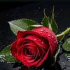 usmanmadni552