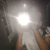 luisamae284