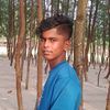 anis.0122