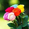 md.romjan.ali0146