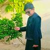 mureed.hussain468