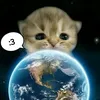 celinevm1ess_