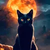 celestialrainwitch444